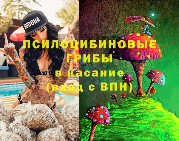 эйфоретик Алзамай