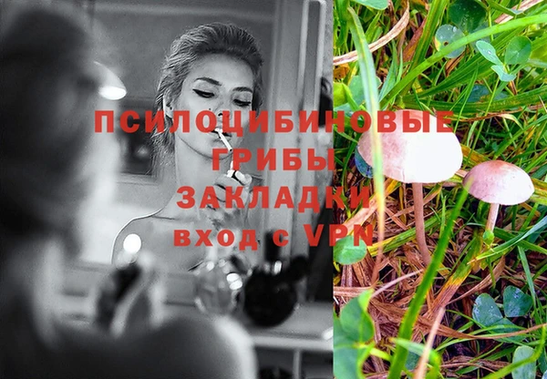 мескалин Алексеевка