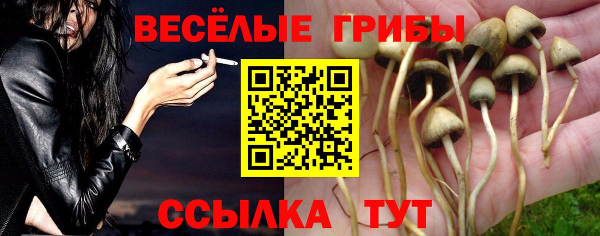 Галлюциногенные грибы Psilocybe Татарск